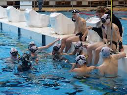 Image result for Dublin Underwater Hockey Team