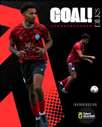 Image result for Tongham Boys Under 9`s Football Club