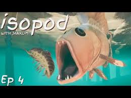 Image result for jankruml