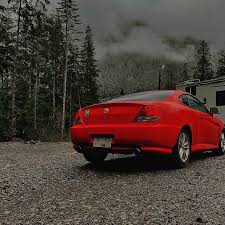 Image result for tuscani tibu...start=0