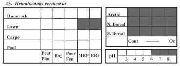 Attēlu rezultāti vaicājumam “Hamatocaulis lapponicus”