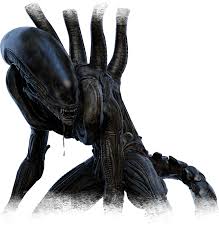 Image result for xenomorph