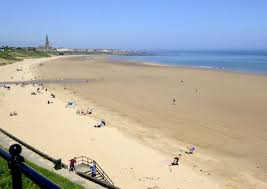 Image result for Tyneside Loipers