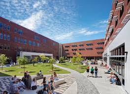 Image result for Apex Paragliding School