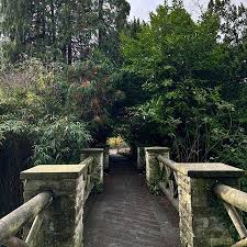 Image result for Victoria Park Bowling Club (Bath)