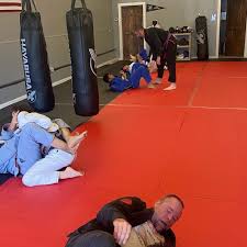 Image result for Norfolk Jikishin Ju Jitsu Club