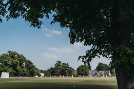 Image result for Chorleywood Cricket Club