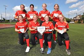 Image result for Dragons Softball Club