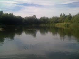 Image result for Becmain Angling Society