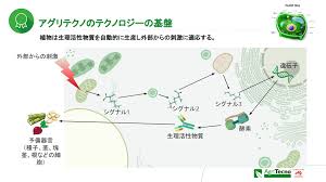 Image result for 生理現象ラキ