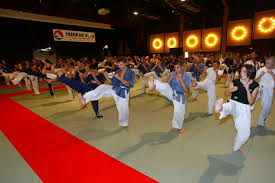 Image result for Yoseikan Budo England