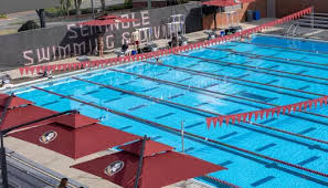 Image result for Frome Swimming Club