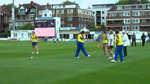 Image result for Angmering Stoolball Club