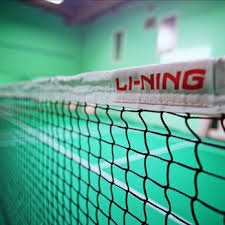 Image result for Reading Ladies Summer Badminton Club