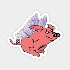 Image result for flying pigs