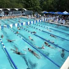 Image result for Yeovil and District Swimming Club