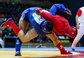 Image result for Combat Sambo