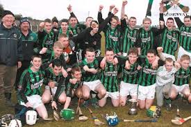 Image result for Causeway Hurling Club