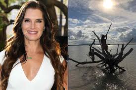 Image result for brooke shields nude