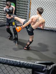 Image result for Full Element Mixed Martial Arts