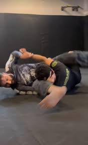 Image result for Southend Judo Club