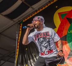 Attēlu rezultāti vaicājumam “juvenile”