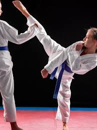 Image result for Red Dragon Taekwondo club