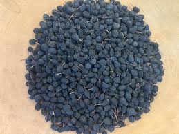 Attēlu rezultāti vaicājumam “Aronia melanocarpa fruit”