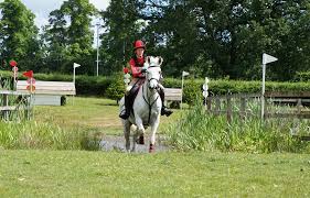 Image result for Stoneleigh Riding Club