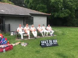 Image result for Chertsey Cricket Club