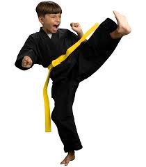 Image result for Bully Me Now Mixed Martial Arts