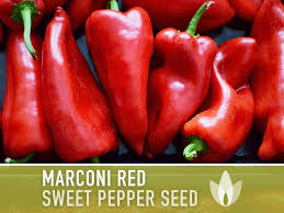 Afbeeldingsresultaat voor long red marconi sweet pepper