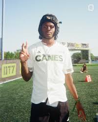 Attēlu rezultāti vaicājumam “Diderma roanense”