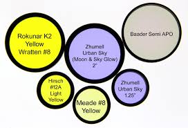 Attēlu rezultāti vaicājumam “Didymium minus young”