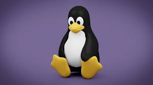 Image result for linux tux