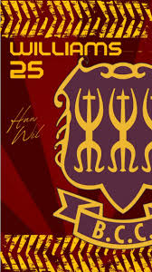 Image result for Clwb Criced A Bowlio Bethesda