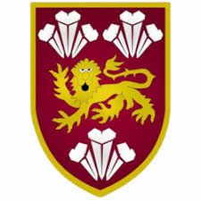 Image result for Caernarfon Football Club