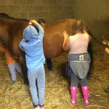 Image result for Liverpool Equestrian Club