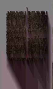 Attēlu rezultāti vaicājumam “Enerthenema papillatum young”