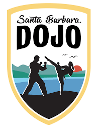 Image result for United Dojos Kickboxing