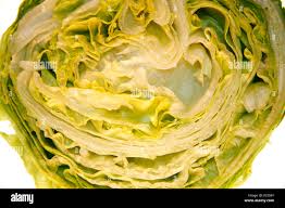 Image result for Kopfsalat