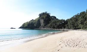 Image result for new chums beach