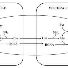 Image result for BCKA