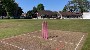 Image result for Corse & Staunton Cricket Club