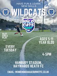 Image result for Haywards Heath Town Ladies Football Club