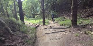 Image result for Woodhill Riding Club