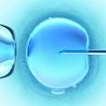 Ethical and Legal Questions about Assisted Reproductive Technology