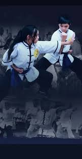 Image result for Worthington Martial Arts Institute