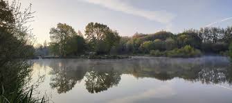 Image result for Bathampton Angling Association