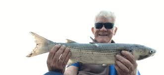 Image result for Bideford and District Angling Club